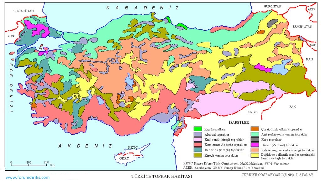 Matematik Ders Kitabı Sayfa 45 Cevapları