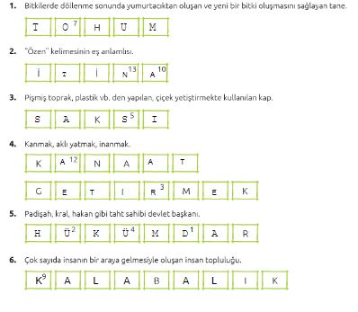 5. Etkinlik