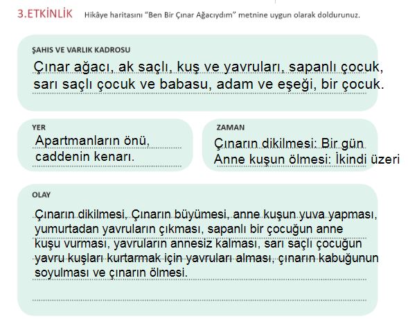 3. ETKİNLİK