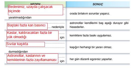 46. Sayfa