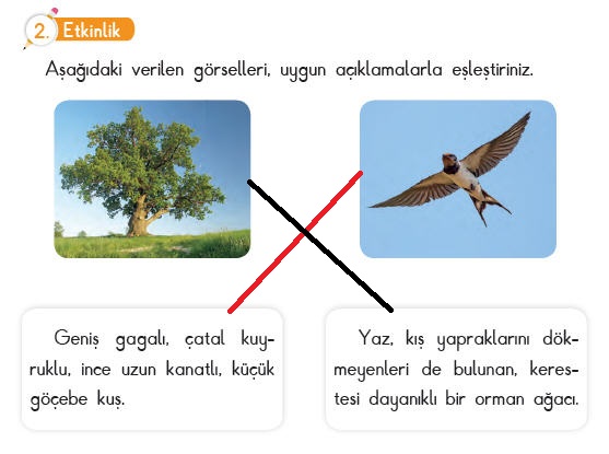 3. Sınıf SDR Dikey Yayıncılık Türkçe