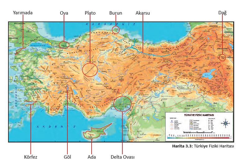 101.sayfa cevapları