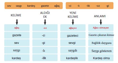 3.etkinlik