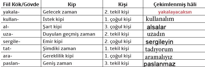 7. sınıf türkçe fiiller