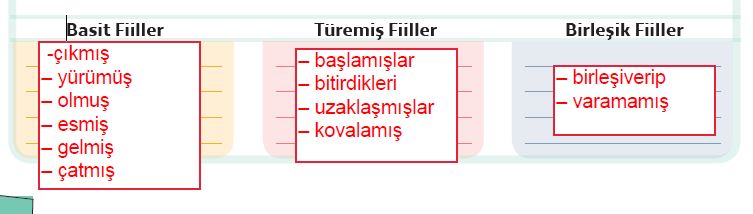 6.Etkinlik