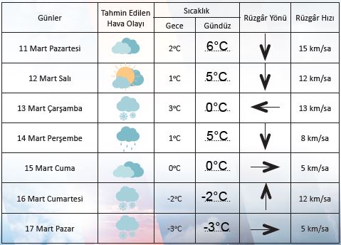 türkçe 8.etkinlik