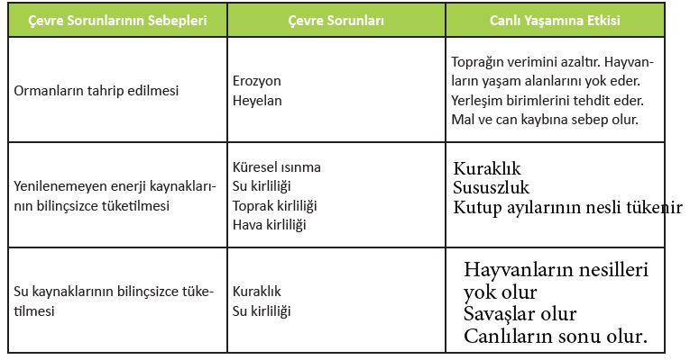 169.sayfa