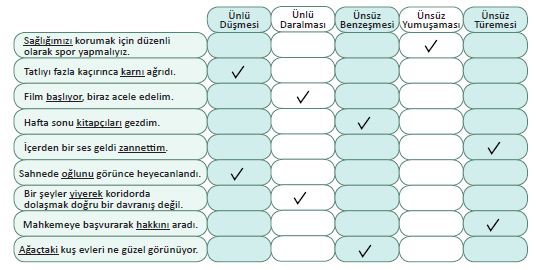 ses olayları