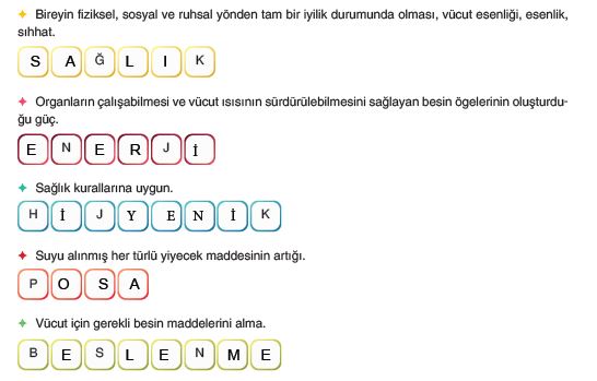 202. Sayfa