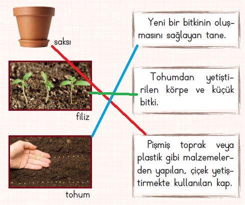 202.sayfa