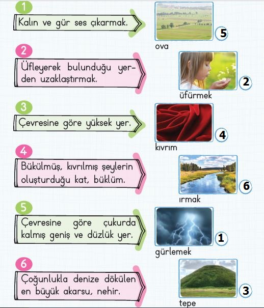 2. Sınıf Türkçe Ders Kitabı 41. Sayfa Cevabı