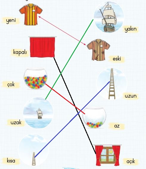 2. Sınıf Türkçe Ders Kitabı 25. Sayfa Cevabı