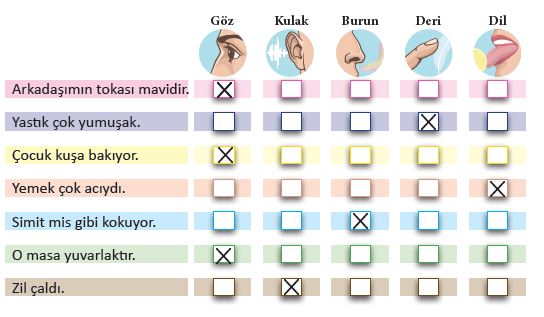 3. Sınıf Fen Bilimleri Ders Kitabı 61. Sayfa Cevapları