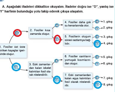 Sayfa 32 Cevapları