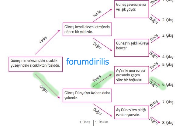 5. Sınıf Fen Bilimleri 47. Sayfa Cevapları