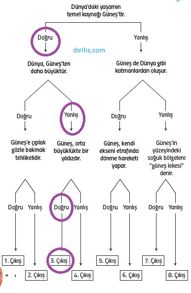 5. Sınıf MEB Fen Bilimleri Ders Kitabı 24. Sayfa Cevapları