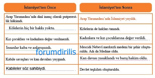 6. Sınıf MEB Yayınları Sosyal Bilgiler 71. Sayfa Cevapları 