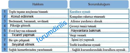 6. Sınıf MEB Yayınları Sosyal Bilgiler 41. Sayfa Cevapları MEB