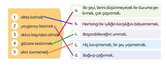 6. Sınıf Türkçe Ders Kitabı Ekoyay Yayınları 39. Sayfa Cevapları