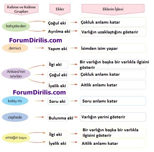 6. Sınıf Türkçe Ders Kitabı Ekoyay Yayınları 62. Sayfa Cevapları