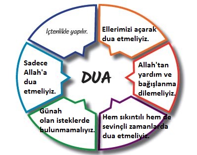 5. Sınıf Din Kültürü ve Ahlak Bilgisi Ders Kitabı MEB Yayınları 24. Sayfa Cevapları