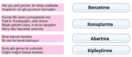 8. Sınıf Türkçe Ders Kitabı MEB Yayınları 43. Sayfa Cevapları
