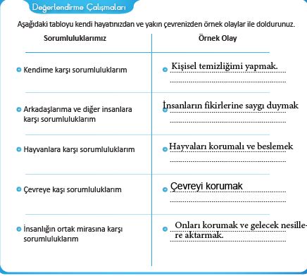 29.sayfa cevapları