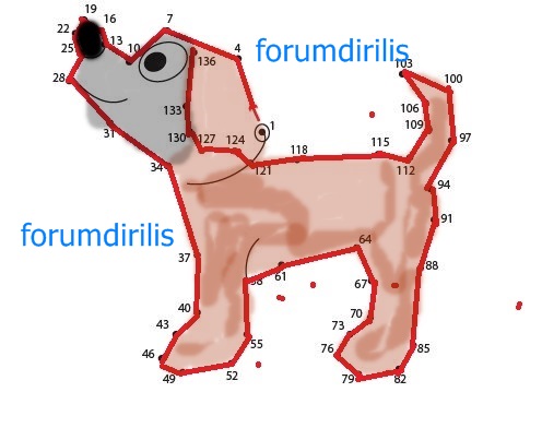 4. Sınıf Matematik Ders Kitabı 38. Sayfa Cevapları MEB Yayınları