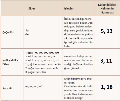6. Sınıf Türkçe Ders Kitabı Ekoyay Yayınları 48. Sayfa Cevapları