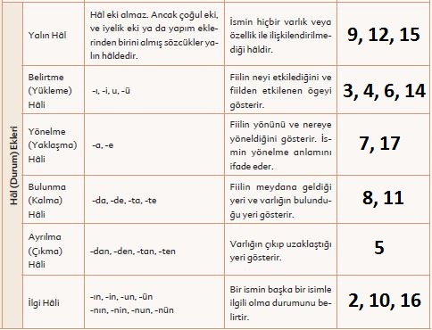 6. Sınıf Türkçe Ders Kitabı Ekoyay Yayınları 48. Sayfa Cevapları
