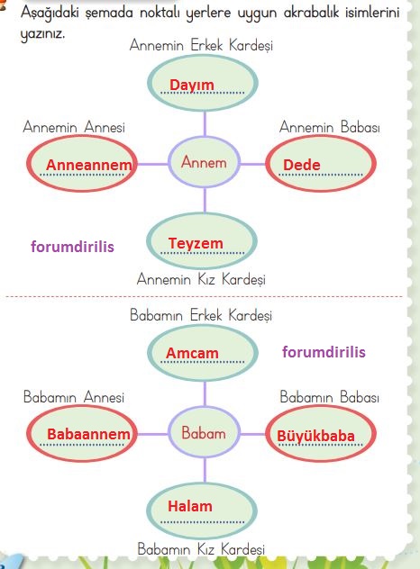 2. Sınıf MEB Hayat Bilgisi 68. Sayfa Cevapları