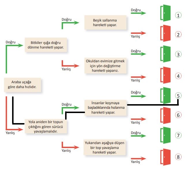 3. Sınıf Fen Bilimleri Ders Kitabı 80. Sayfa Cevapları