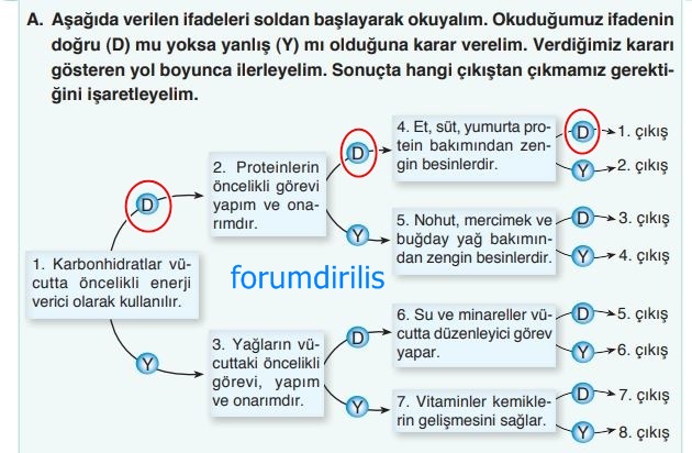 4. Sınıf Fen Bilimler Sayfa 70