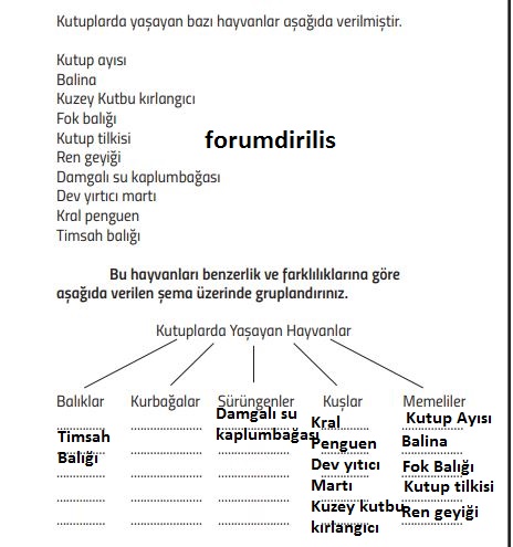 71.sayfa