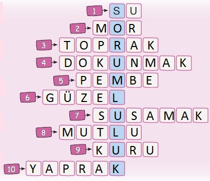 3. Sınıf Türkçe Ders Kitabı Sonuç Yayınları 150. Sayfa Cevapları