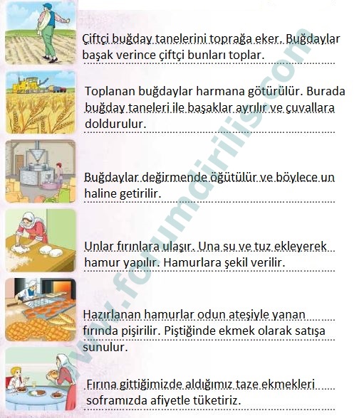3. Sınıf Türkçe Ders Kitabı Sonuç Yayınları 132. Sayfa Cevapları