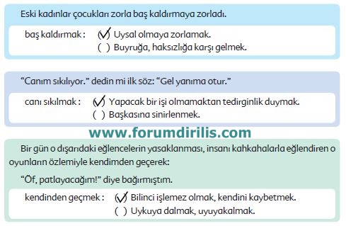 6. Sınıf Türkçe Ders Kitabı Ekoyay Yayınları 86. Sayfa Cevapları
