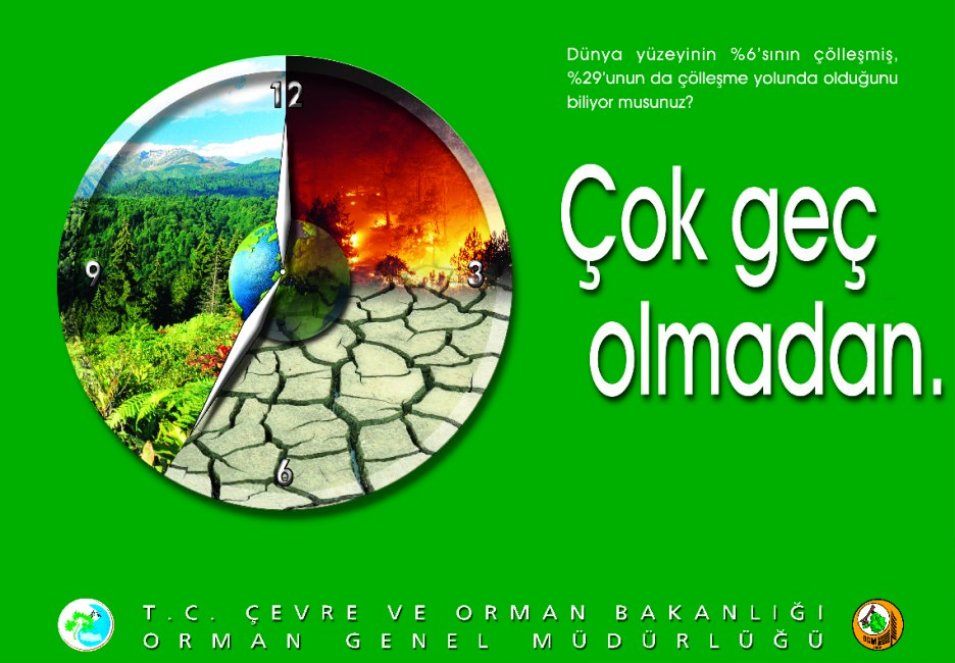 4. Sınıf Türkçe Ders Kitabı Koza Yayınları 136. Sayfa Cevapları