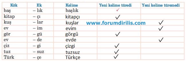 5. Sınıf Türkçe Ders Kitabı Anıttepe Yayınları 91. Sayfa Cevapları