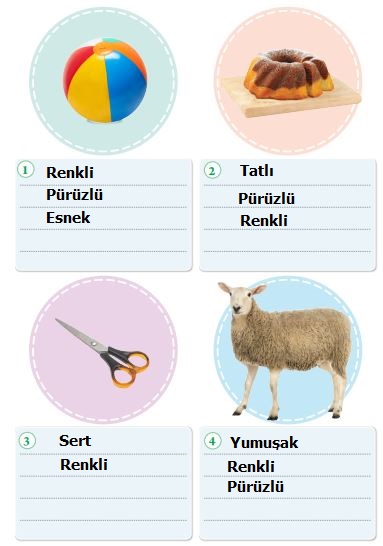 3. Sınıf Fen Bilimleri Tuna Yayınları Ders Kitabı Sayfa 93 Cevapları