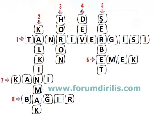 4. Sınıf Türkçe Ders Kitabı Koza Yayınları 143. Sayfa Cevapları