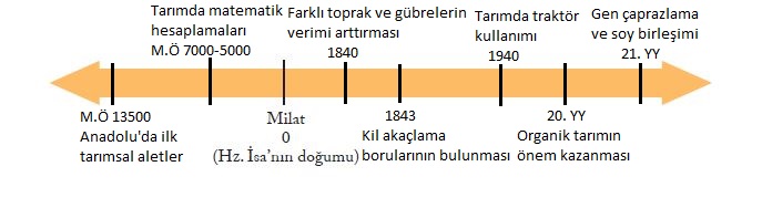 7. Sınıf Sosyal Bilgiler Ders Kitabı Ekoyay Yayınları 160. Sayfa Cevapları