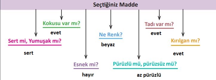 3. Sınıf Fen Bilimleri Ders Kitabı 103. Sayfa