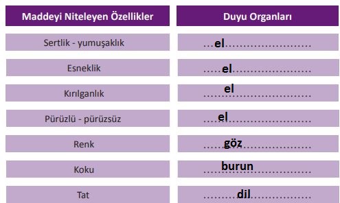 3. Sınıf Fen Bilimleri Ders Kitabı 104. Sayfa