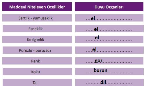 3. Sınıf Fen Bilimleri Ders Kitabı 104. Sayfa