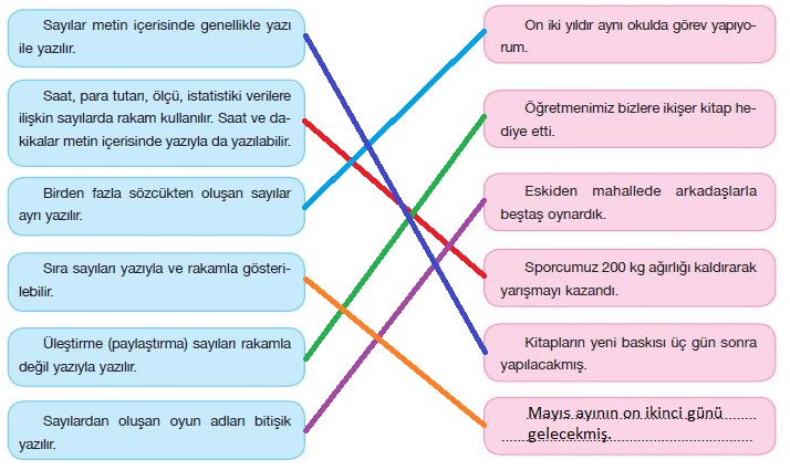 7. Sınıf Türkçe Ders Kitabı Özgün Yayınları 186. Sayfa Cevapları