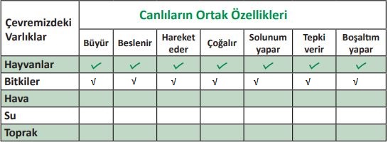 3.sınıf meb 183.sayfa fen bilimleri