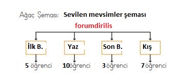 Ağaç Şeması
