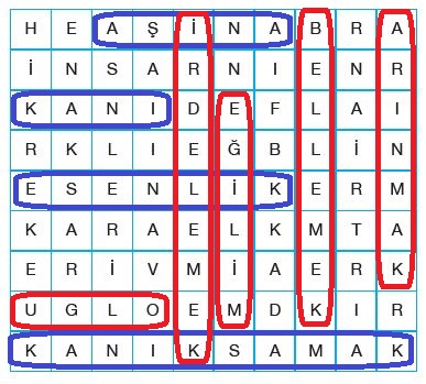 7. Sınıf Türkçe Ders Kitabı Özgün Yayınları 210. Sayfa