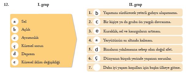 sosyal 265